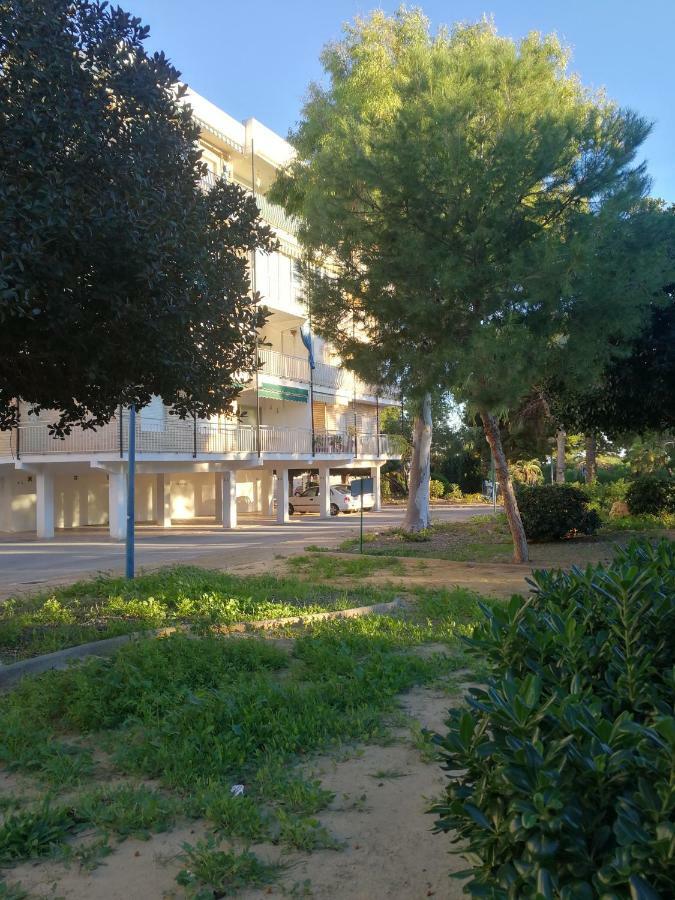 Punta Prima Beach Apt Orihuela Costa Lejlighed Eksteriør billede